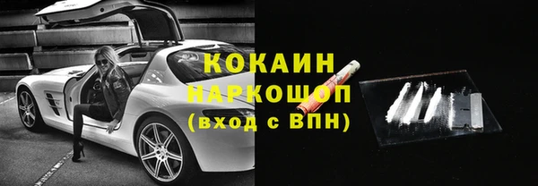 гидра Лагань