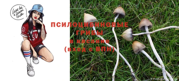 ГАЛЛЮЦИНОГЕННЫЕ ГРИБЫ Лихославль