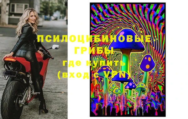 гидра Лагань