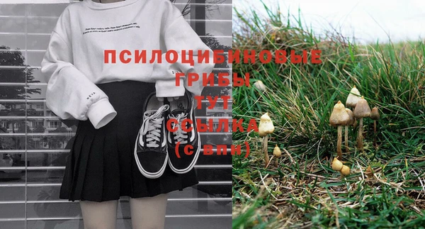 соль ск Ладушкин