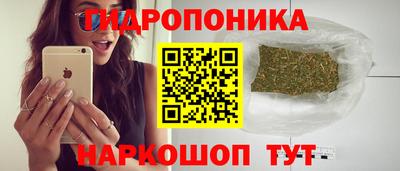 трава Аргун