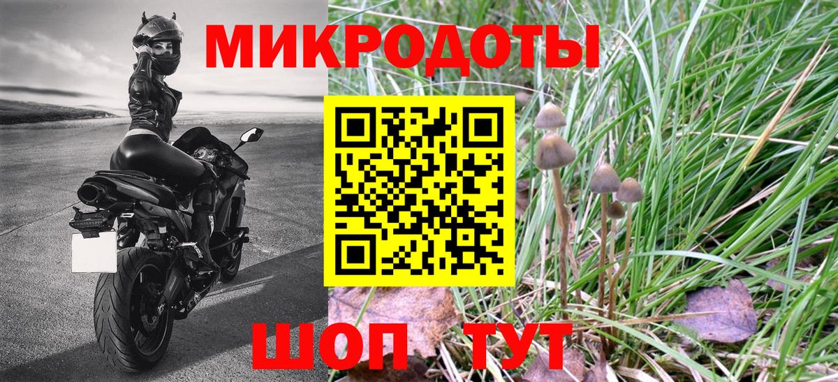 Псилоцибиновые грибы мухоморы Богданович
