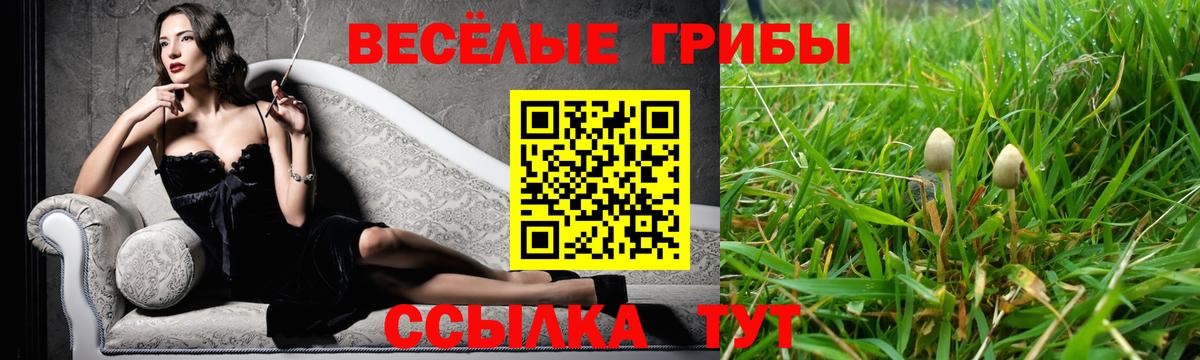 Псилоцибиновые грибы MAGIC MUSHROOMS  Богданович 