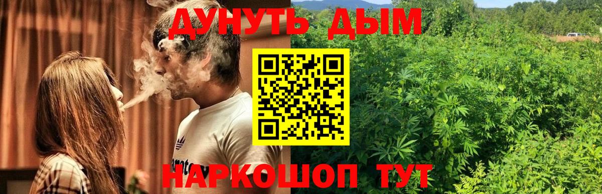 Бошки Шишки тримм Богданович